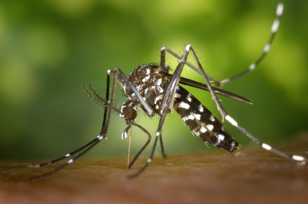 This Outbreak Could Be Worse Than Dengue—And It’s Spreading Fast 10 This Outbreak Could Be Worse Than Dengue—And It’s Spreading Fast