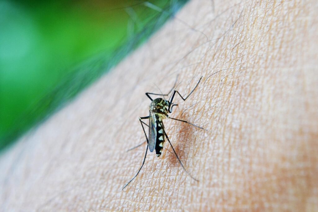 This Outbreak Could Be Worse Than Dengue—And It’s Spreading Fast 9 This Outbreak Could Be Worse Than Dengue—And It’s Spreading Fast