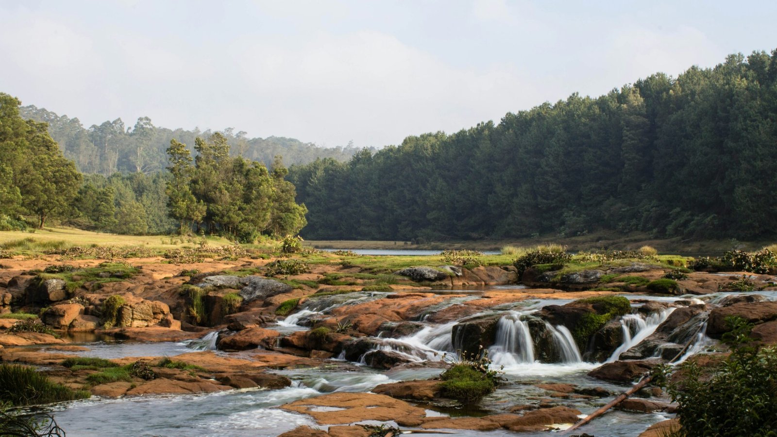 Rain, Silence, and Soul: Ooty, Coorg & Mysuru Are Calling — And You’ll Feel It Before You Arrive 13 Rain, Silence, and Soul: Ooty, Coorg & Mysuru Are Calling