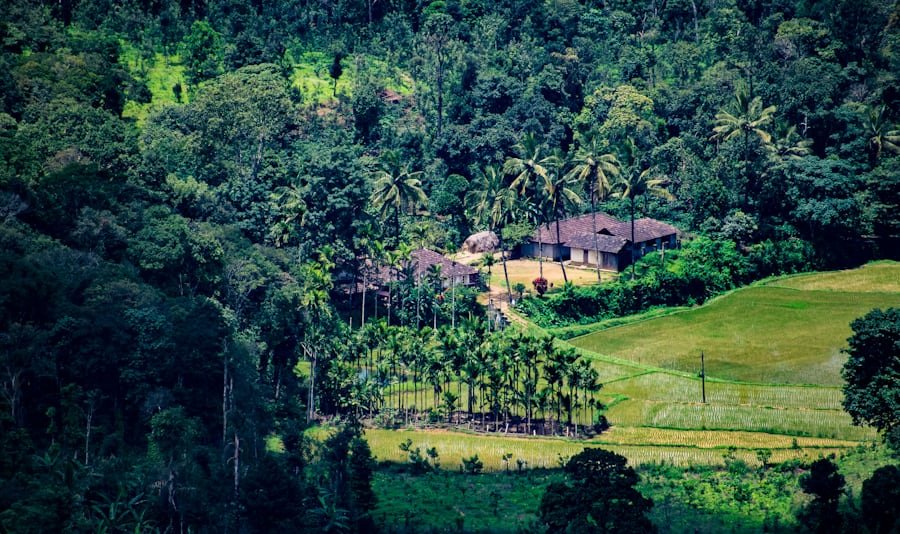 Rain, Silence, and Soul: Ooty, Coorg & Mysuru Are Calling — And You’ll Feel It Before You Arrive 15 Rain, Silence, and Soul: Ooty, Coorg & Mysuru Are Calling