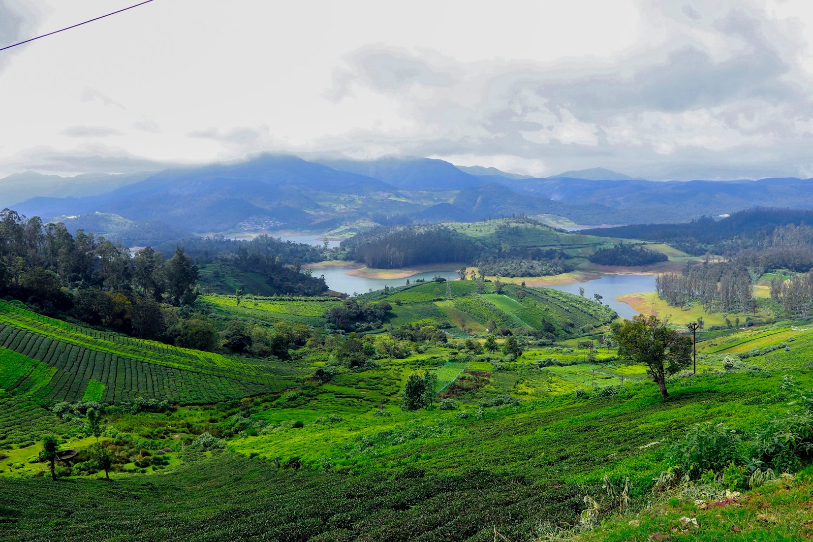 Rain, Silence, and Soul: Ooty, Coorg & Mysuru Are Calling — And You’ll Feel It Before You Arrive 14 Rain, Silence, and Soul: Ooty, Coorg & Mysuru Are Calling